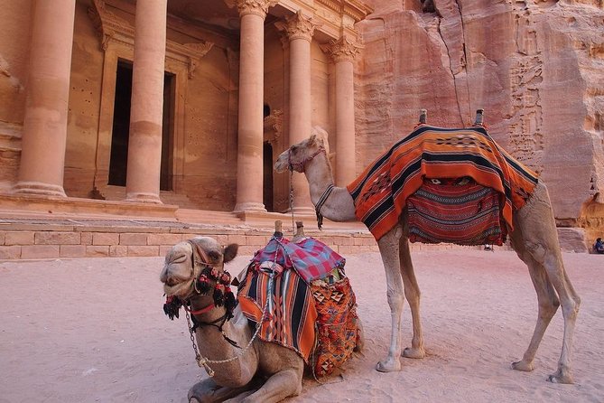 2 Day 1 Night Wadi Rum (Overnight) & Petra Shore Excursion - Key things I’d circle before you book