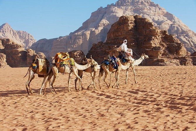 2 Day 1 Night Wadi Rum (Overnight) & Petra Shore Excursion - Food, tickets, and what the $574.36 per person buys you