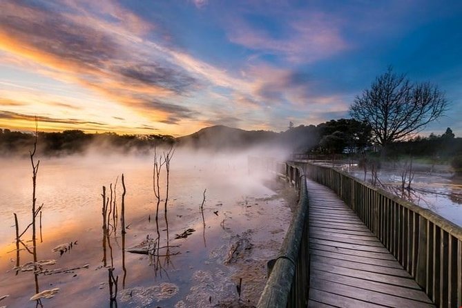 6.5 hour Small-Group Rotorua Naturally Shore Excursion - Tauranga - Quick highlights before you go