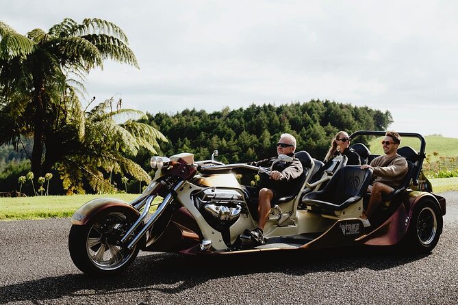 6.5 hour Small-Group Rotorua Naturally Shore Excursion - Tauranga - Redwoods Whakarewarewa Forest: the treetop rope bridges that steal the show