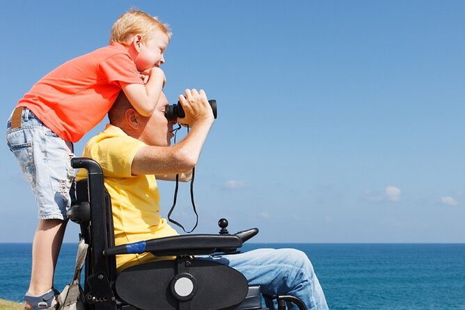 Accessible Tour In Athens, 3 Hours Athens Panorama Shore Excursion - Getting in and out fast: Piraeus cruise pier or hotel pickup