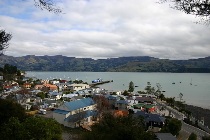 Akaroa Shore Excursion: Akaroa Harbour and Giants House Local Tour - Port Pickup to Akaroa Basics: The Real Value of Starting Here