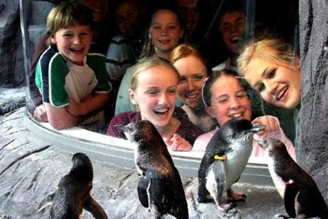 Akaroa Shore Excursion: Banks Peninsula, Christchurch City Tour and the International Antarctic Centre - The Hagglund ride: the action that turns the theme into a story