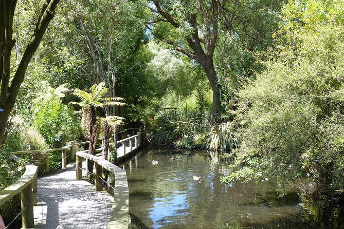 Akaroa Shore Excursion: Banks Peninsula, Christchurch City Tour and Willowbank Wildlife Reserve - Who this tour suits best (and who should be cautious)