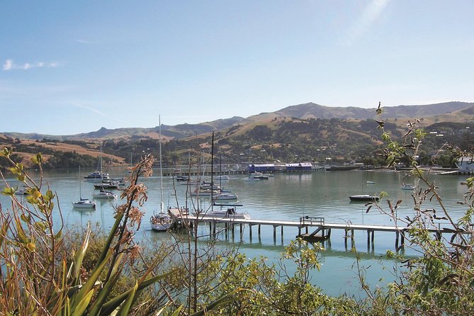 Akaroa Shore Excursion: Banks Peninsula, Christchurch City Tour and Willowbank Wildlife Reserve - Banks Peninsula by coach: where the scenery earns its keep