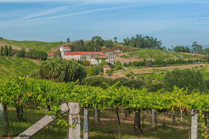 Albariño trails Private Wine Tour/Shore excursion from Vigo - Multiple Rías Baixas wineries: what you’re really paying for