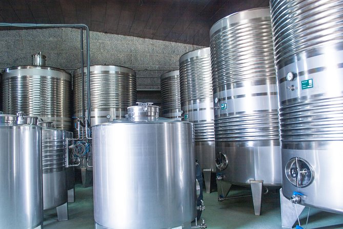 Albariño trails Private Wine Tour/Shore excursion from Vigo - Furancho lunch: where local food and homemade wine fit in