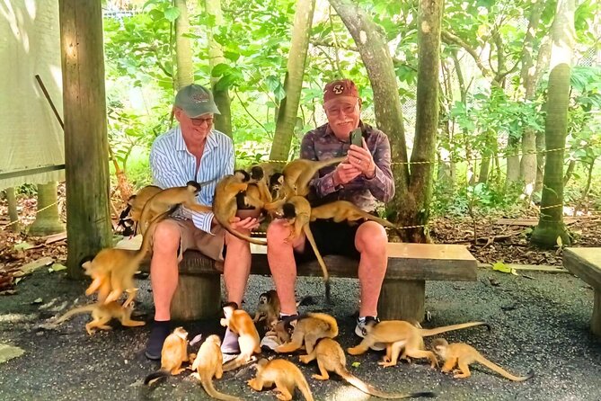 All-Inclusive Ishigaki Island Shore Excursion with English Guide - Lunch and In-Transit Learning: How the Day Feels Effortless