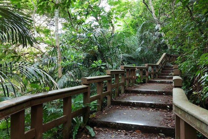 All-Inclusive Ishigaki Island Shore Excursion with English Guide - Who Should Book This Tour (and Who Might Want Something Else)