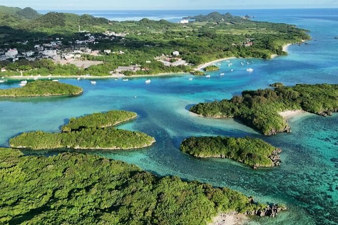 All-Inclusive Ishigaki Island Shore Excursion with English Guide - The All-Inclusive Comfort Setup That Saves Your Day