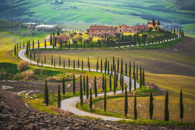 All Tuscany Private Siena San Gimignano & Chianti Livorno Shore Excursion - Chianti winery visit: what’s included, what costs extra, and how to plan