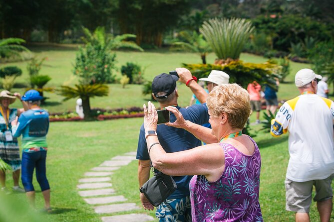 Apia Highlights Shore Excursion Tour + Lunch & Island Show - To Sua Ocean Trench: The Main Event (Swim or Just Watch)