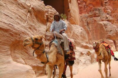 Aqaba Shore Excursion: Private Petra Sightseeing Tour with Lunch - Getting to Petra without losing half the day