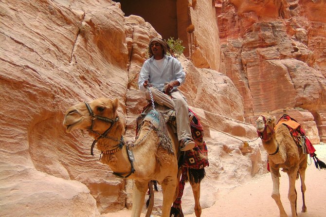 Aqaba Shore Excursion: Private Petra Sightseeing Tour with Lunch - Getting to Petra without losing half the day