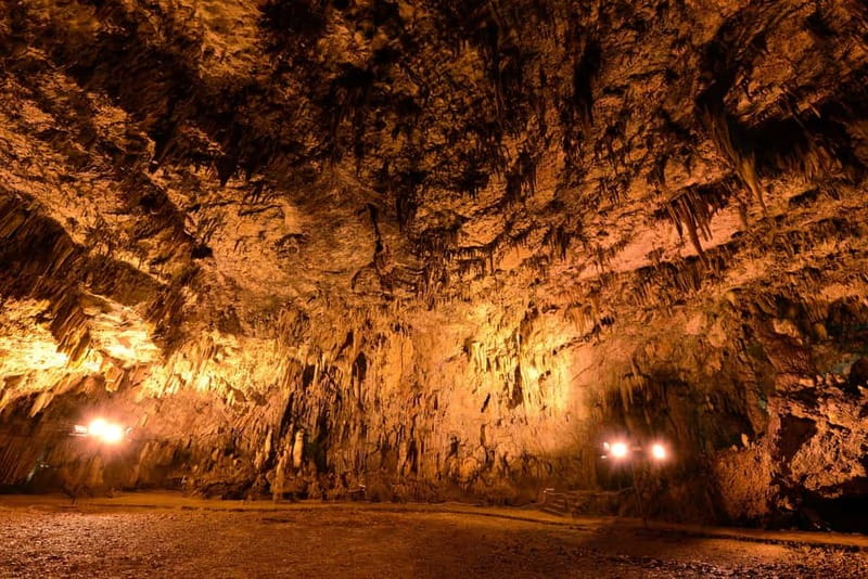 Argostoli: Shore Excursion to Caves with Local Wine Tasting - Key Things I’d Prioritize
