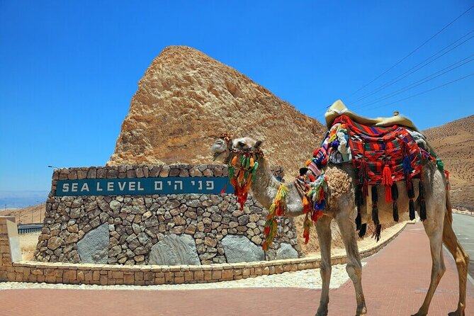 Ashdod Port Shore Excursion: Masada and the Dead Sea Day Tour from Ashdod Port - Key points I’d plan around