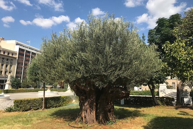 Athens by E-Bike: Monuments, Food & Transfers (Cruise Tour) - Neoclassical Stops and the First Modern Olympic Site