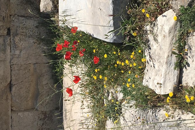 Athens Shore Excursion: Private City Sightseeing and Acropolis Tour - Price and value: is $650+ per person worth it?
