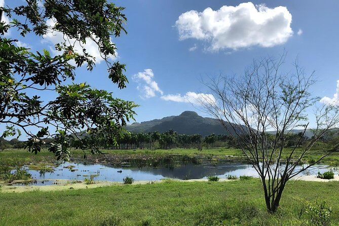 ATV and Horse Riding in Puerto Plata / Shore Excursion & Hotel - Lunch and water: included Dominican food that feels like the point