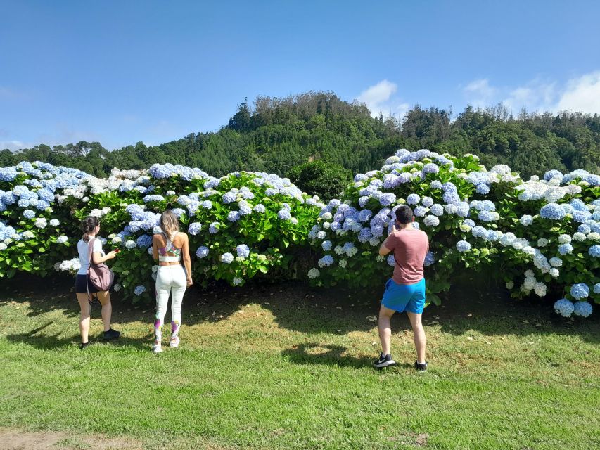 Azores: Sete Cidades, Blue & Green Lake Shore Excursion - Price and value: what $45 buys on a 4-hour cruise day