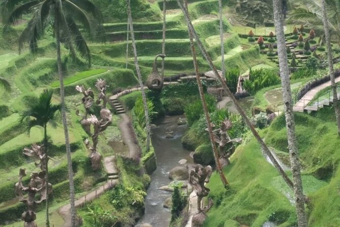 Bali Benoa Shore Excursion for cruise's passenger - All Inclusive - Lunch With Rice Terrace Views at Ceking