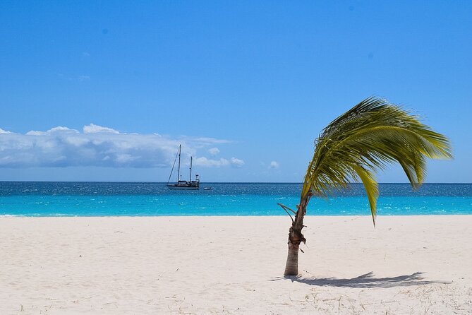 Barbados Shore Excursion: Bajan Highlights - What You’ll Like Most (Quick Hits)