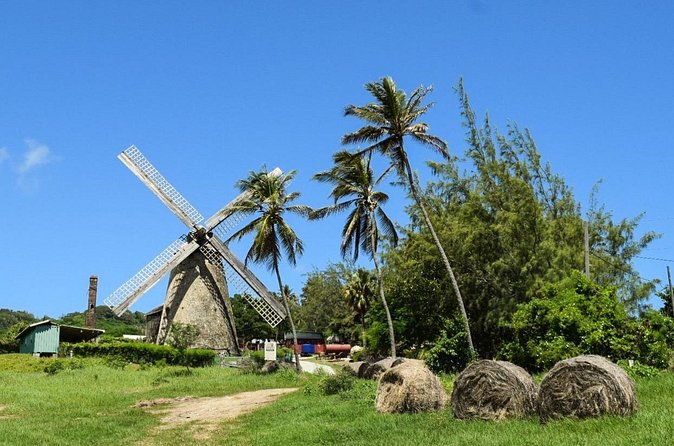 Barbados Shore Excursion: Bajan Highlights - Cherry Tree Hill Reserve: Big View, Quick Facts