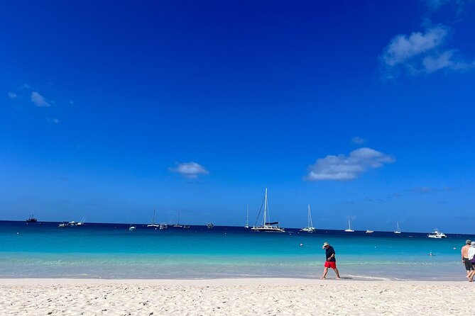 Barbados Shore Excursion Barbados Paradise Sightseeing Tour - Key Points You’ll Actually Care About
