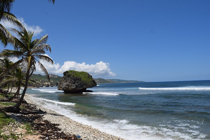 Barbados Shore Excursion: Barbados Surf & Turf - Savvy on the Bay meet-up: lunch options and a chance to regroup