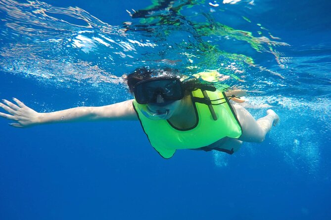 Barbados Shore Excursion: Carlisle Bay Turtle & Shipwreck - Price and value: is $48 a good deal?