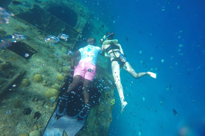 Barbados Shore Excursion Island Tour and Snorkel Cruise - Carlisle Bay turtle-frequenting swim: what you’re really signing up for
