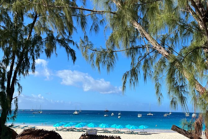 Barbados Shore Excursion Snorkel cruise and Beach Day - Tranquility Cruises boat day: what you get on board