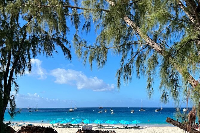 Barbados Shore Excursion: Wildlife Encounter and Beach Day - Tour Logistics That Matter: Pickup Timing, Mobile Tickets, and Bumpy Roads