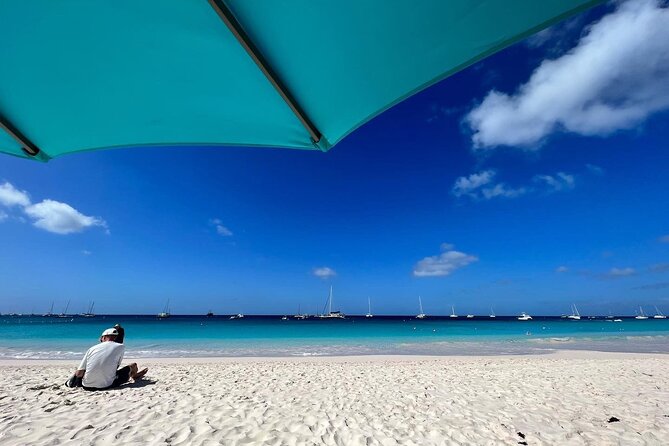 Barbados Shore Excursion: Wildlife Encounter and Beach Day - Who This Tour Fits Best (and Who Might Want a Different Plan)