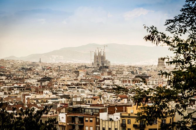 Barcelona Private 4 hours Shore Excursion with private vehicle and guide - Key Highlights Worth Your Time