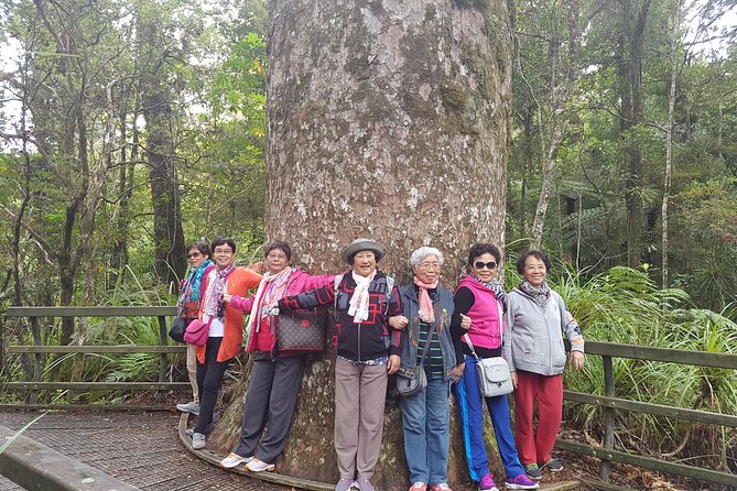 Bay of Islands Shore Excursion: Puketi Rainforest Guided Walk - Morning Tea Mid-Hike and That Post-Walk Reset