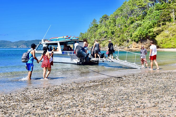 Bay of Islands Shore Excursion: Puketi Rainforest Guided Walk - Small Groups With Local Guides Like Ian and Helen
