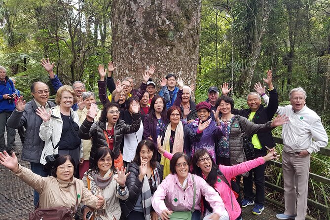 Bay of Islands Shore Excursion: Puketi Rainforest Guided Walk - Price and Value: Is $157 Worth 4.5 Hours in the Trees?