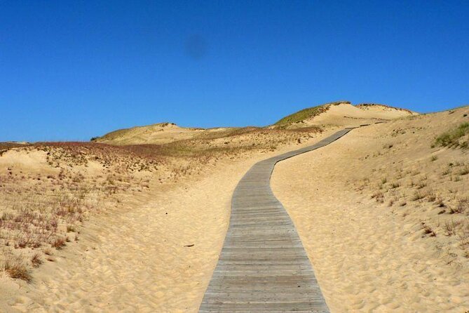 Best of Klaipeda & Curonian Spit Join-in Shore Excursion - Key highlights worth knowing