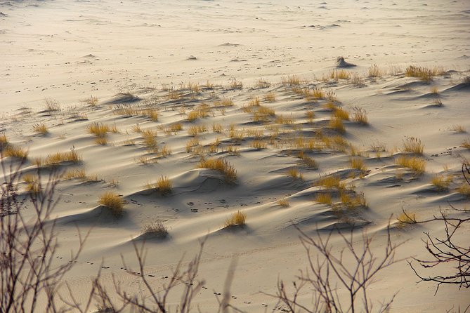 Best of Klaipeda & Curonian Spit Join-in Shore Excursion - Grey Dunes and “witchy” woodland moments