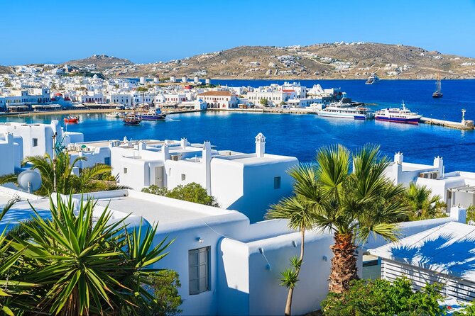 Best Shore Excursion Discovering Mykonos from Cruise Port - Cruise Port Pickup That Saves You Time (and Confusion)