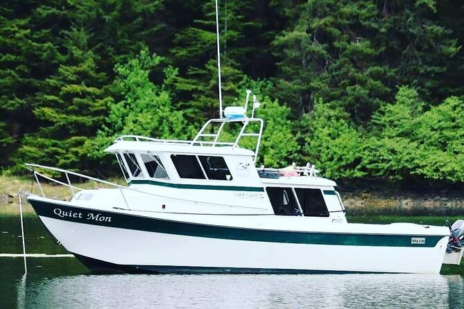 Best Whale Watching and Wildlife Shore Excursion in Sitka - Why six passengers is a big deal for spotting whales in Sitka