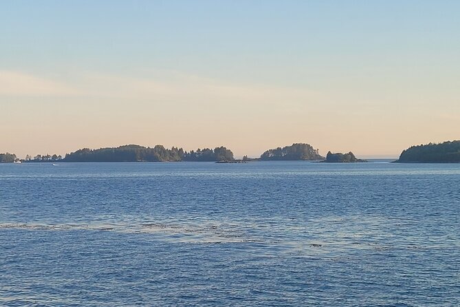 Best Whale Watching and Wildlife Shore Excursion in Sitka - Comfort and photo help: heated cabin, outdoor seats, snacks, and more