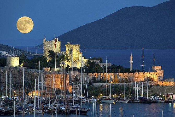 Bodrum Shore Excursion: Private Bodrum Express Sightseeing Tour - Transport and the 3-hour structure: how to get the most without rushing