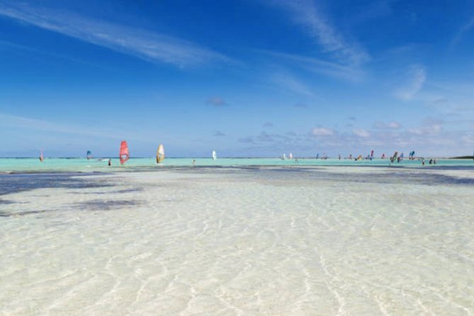 Bonaire Shore Excursion: The Bonaire Highlights Tour - Bonaire highlights for first-time cruisers (and anyone who wants the big picture)