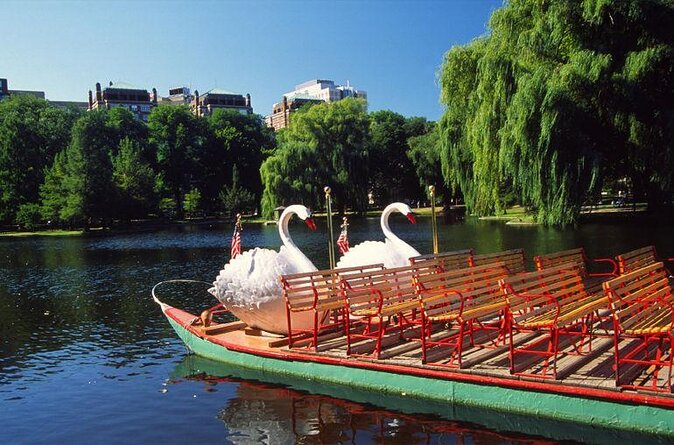 Boston Shore Excursion: Boston Hop-On Hop-Off Trolley Tour - Key things to know before you ride