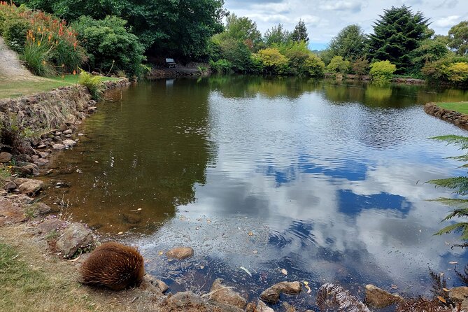 Burnie Attractions Bus: Burnie Shore Excursion - Emu Valley Rhododendron Gardens: 30 Minutes Plus Café and Toilets