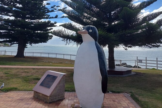 Burnie Attractions Bus: Burnie Shore Excursion - Fernglade Reserve Platypus Time: Short Stop, Real Wildlife Focus