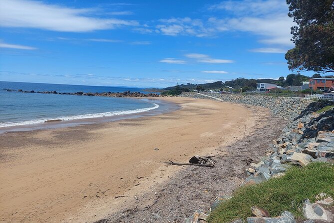 Burnie Attractions Bus: Burnie Shore Excursion - How to Protect Your Day: Commentary, PA Issues, and Guide Quality