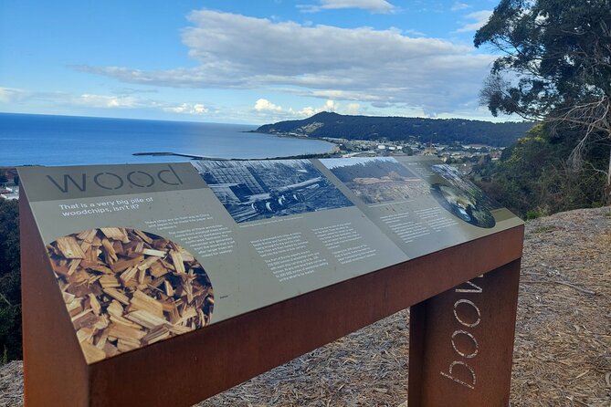 Burnie Attractions Bus: Burnie Shore Excursion - Price and Timing: Is $64.55 Good Value?